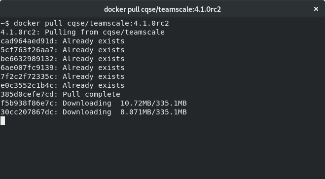 Running Docker pull on the console